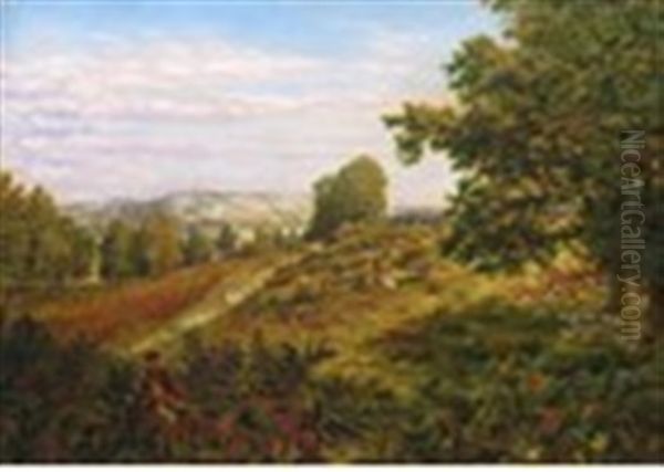 View Of Box Hill Near Dorking, Surrey - view 1