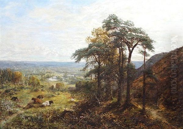 Guildford - view 1