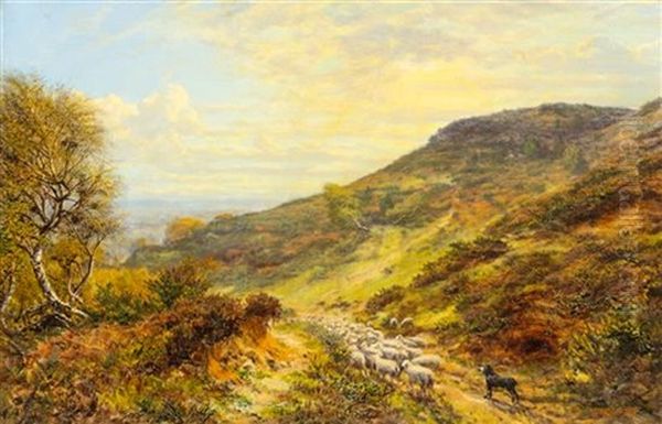 Landscape - view 1