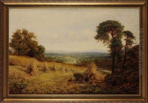 Children Resting In The Shade At The Edge Of A Cornfield