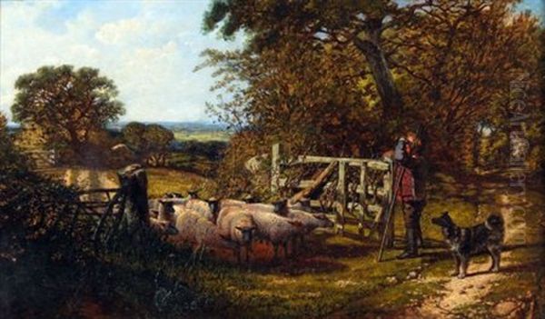 Dog And Sheep In Field Gate - view 1