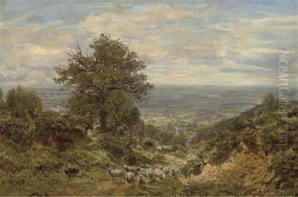 Coneyhurst Hill, Surrey - view 1
