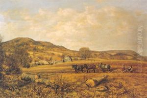 Ploughing The Fields
