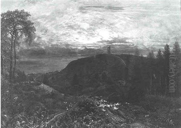 Sheep Returning At Sunset - view 1