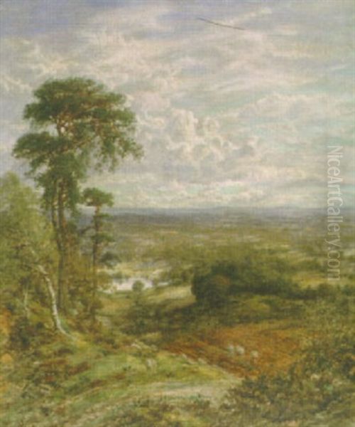 An Extensive Landscape - view 1