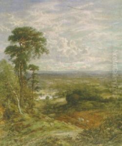 An Extensive Landscape
