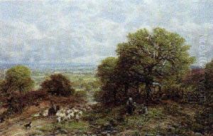 The Shepherd The Shepherd