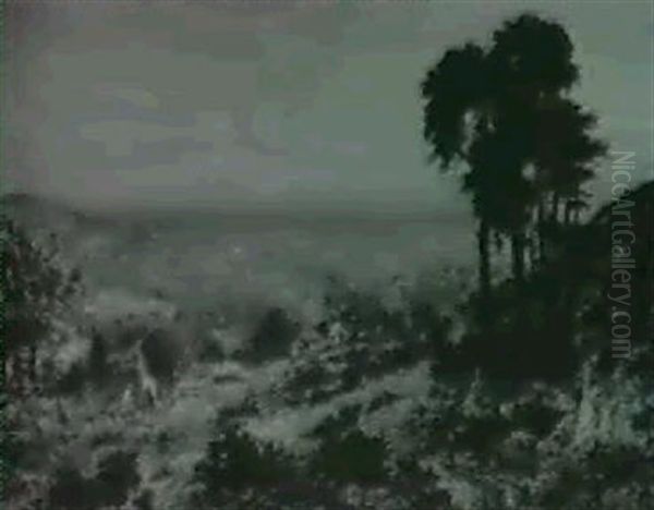 Extensive Country Landscape With Cottages - view 1