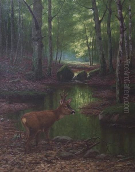 Brocard En Foret - view 1