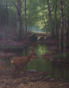 Brocard En Foret
