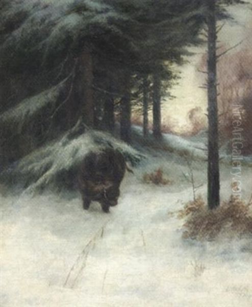 Keiler Im Winterwald - view 1