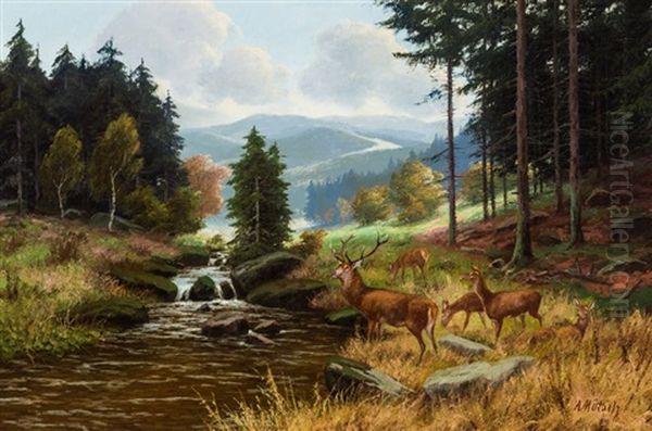 Septembermorgen Harz Mit Rotwild Am Bachlauf Und Weitem Blick - view 1