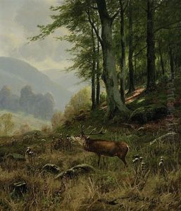 Rohrender Hirsch Am Waldrand by August Moetsch