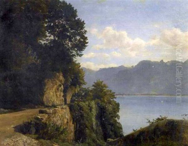 Vue Du Lac Leman Vers Villeneuve - view 1