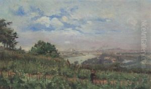 Vue Panoramique