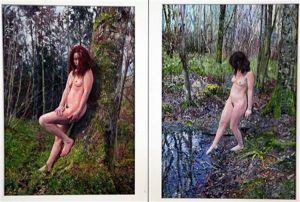 Nudes In The Woods Near Sherbourne (12 Works) by William Mouncey