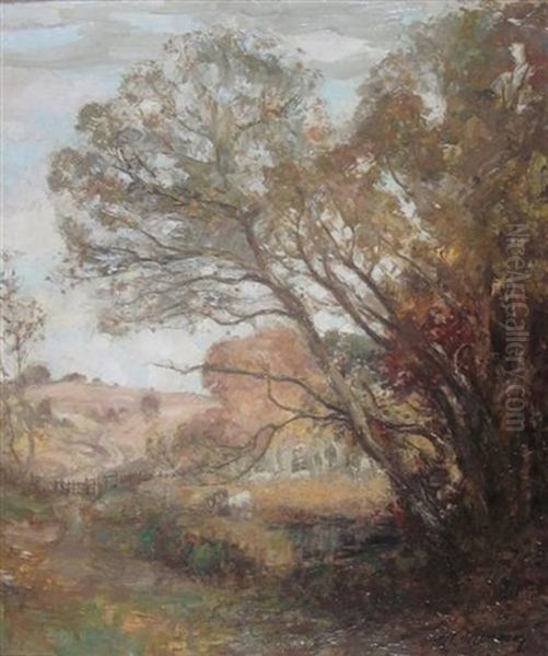 Autumn In Galloway - view 1