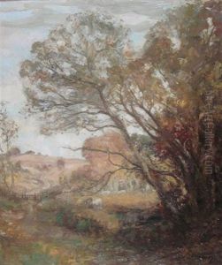Autumn In Galloway