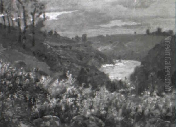 Heidelandschaft Mit Bluhendem Ginster - view 1