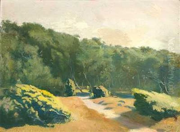 Hornbaek Plantage - view 1