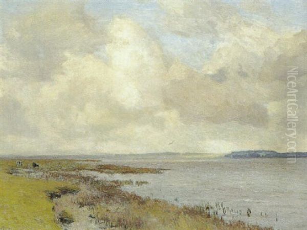 Randers Fjord Udfor Holbaekgaard I Baggrunden Gjessinggaard Skov - view 1
