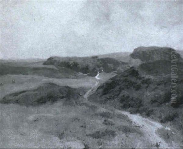 Hedebakke Med Sti, Skov I Baggrunden - view 1