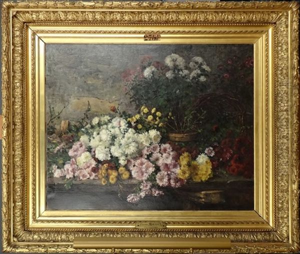 Chrysanthemes - view 1