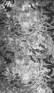 Frau Mit Margerite Frau Mit Margerite