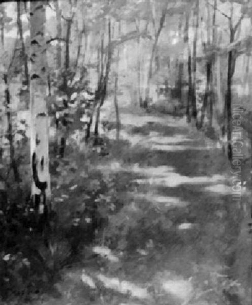 Wooded Landscape - view 1