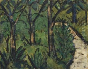 Wald Und Fluss Wald Und Fluss