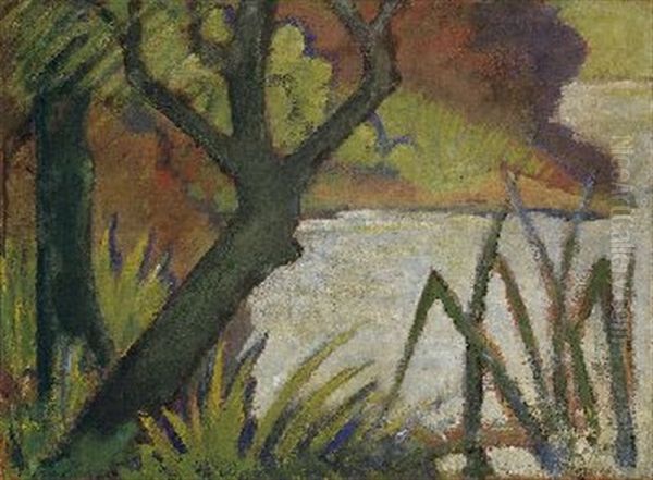 Zwei Baumstamme Mit Schilf Am Wasser - view 1