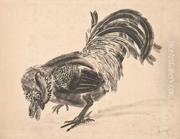 Coq - view 1