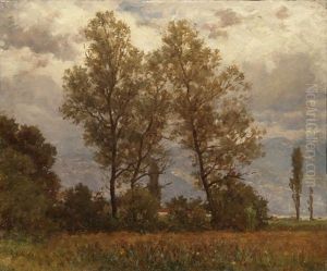 Innerschweizer Landschaft by Jost Muheim