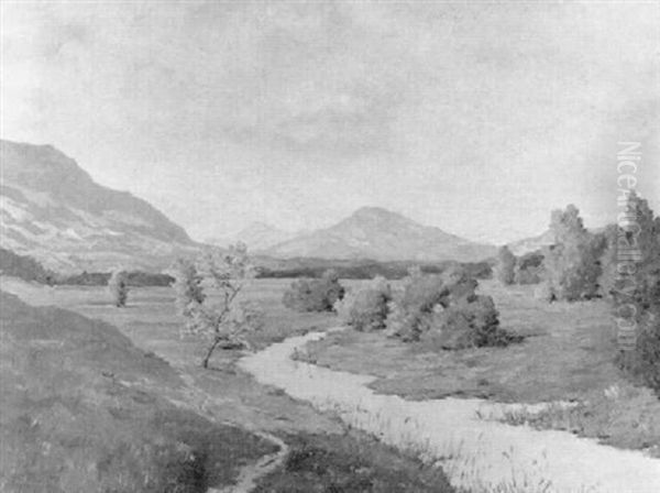 Bachlandschaft In Den Voralpen - view 1
