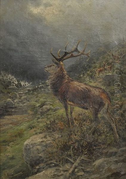 Gebirgslandschaft, Im Vordergrund Rothirsch, Im Hintergrund 4 Hirschkuhe - view 1