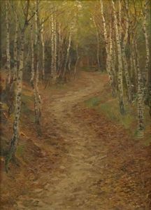 Im Birkenwald