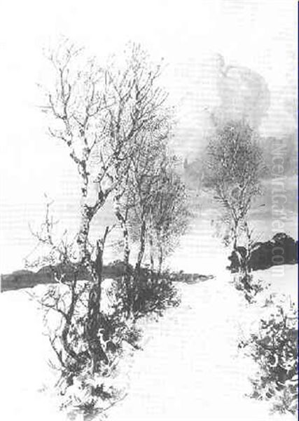 Winterliche Schneelandschaft Mit Birken - view 1
