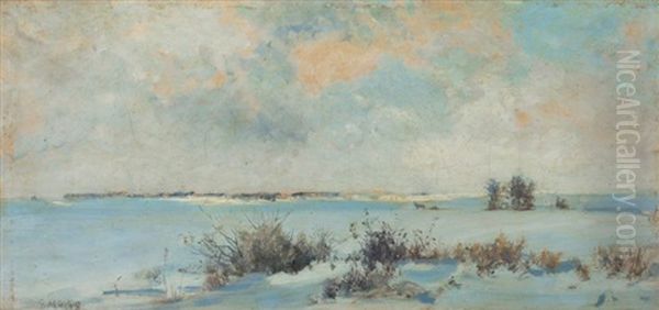 Winterlandschaft - view 1