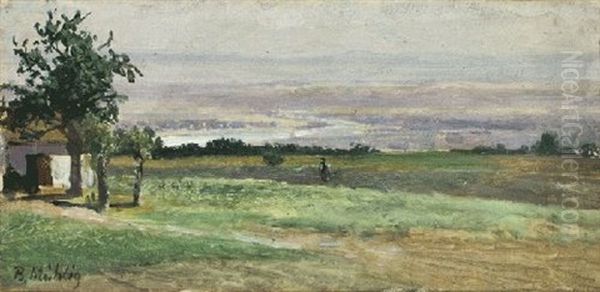 Hohe Von Roskau, Blick Ins Elbtal - view 1