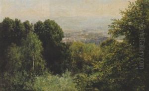 Blick Von Einer Bewaldeten Anhohe Auf Dresden