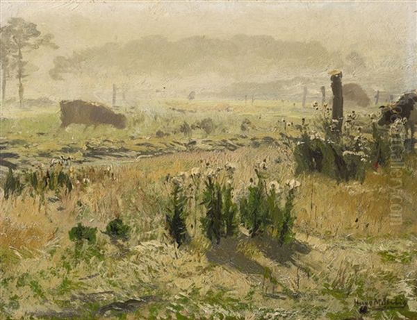 A Morning Mood - view 1