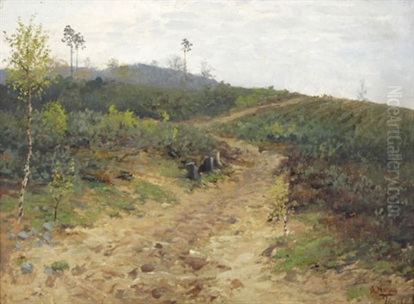 Aus Der ... Heide, Birkenbestandener Feldweg - view 1
