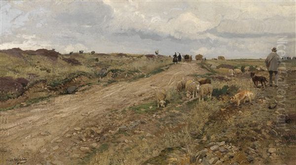 Schafer Auf Dem Heimweg In Hessischer Landschaft - view 1