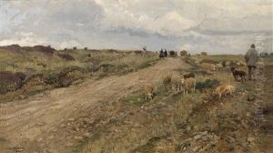Schafer Auf Dem Heimweg In Hessischer Landschaft