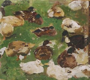 Enten Am Ufer Der Alten Dussel Enten Am Ufer Der Alten Dussel