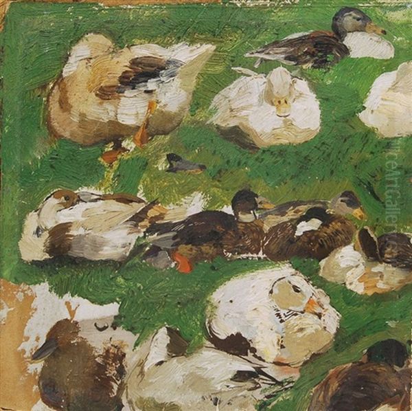 Enten Am Ufer Der Alten Dussel - view 1
