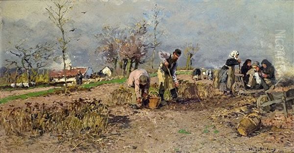 Kartoffelernte - view 1