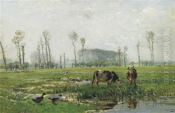 Im Vorfruhling. Weite Niederrheinlandschaft Mit Kuhen Und Enten An Der Tranke - view 1