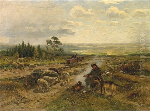 Schafer Bei Der Rast In Weiter Hessischer Landschaft - view 1