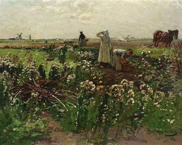 Auf Dem Felde - view 1